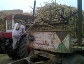 قارئ يطالب بتوسعة الطريق الوحيد المؤدى لـ6 قرى بمركز قوص فى قنا