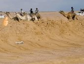 ختام فعاليات مهرجان سباق الهجن بطور سيناء