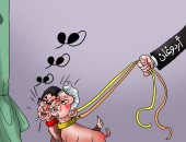 "كلاب" أردوغان تواصل "النباح" ضد مصر فى كاريكاتير اليوم السابع