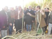 وزير الزراعة يبحث زراعة القصب بالشتلات والرى تحت التربة لأول مرة