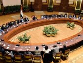 السيسى يلتقى رؤساء المحاكم الدستورية والعليا الأفارقة
