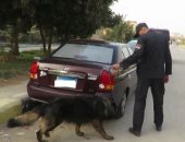 صور.. الداخلية تلاحق تجار المخدرات بمحيط الأندية الرياضية