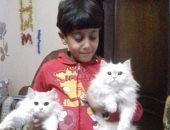 أنا وأليفى.. "خالد" يرسل صورته مع قطتيه.. ويؤكد: أحلى صورة مع كوكى وبوسى