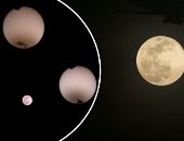 صور.. العالم هذا الصباح.. القمر العملاق يزين سماء العالم للمرة الثانية فى 2019.. مهرجان كاريكاتيرى يجسد قادة وفنانى العالم بفرنسا.. ومصرع 7 أطفال من عائلة واحدة من اللاجئين السوريين فى حريق منزل بكندا