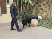 فيديو.. الداخلية تلاحق تجار السموم بمحيط الأندية وتضبط 67 قضية مخدرات