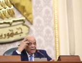 فيديو.. رئيس البرلمان: ندعم القيادة السياسية لأنها أعادت مصر لمكانتها الطبيعية