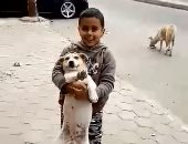 فيديو.. الرحمة مش بالسن ولا التعليم.. أطفال يطعمون كلاب الشوارع