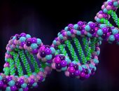 ابعد عنها.. عادات غير صحية بتأثر بالسلب على حمضك النووى وتهدد جسمك بالأمراض