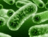 أشياء يجب أن تعرفها قبل تناول مكملات البروبيوتيك