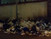 صور.. انتشار القمامة والحيوانات النافقة بنهر النيل فى الزمالك