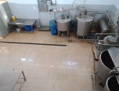 قصة نجاح سند العزازى فى تصنيع الألبان برعاية "تنمية المشروعات" بالغربية.. توسع فى مشروعه بقرض 750 ألف جنيه لإضافة خطوط جديدة وماكينات.. ويؤكد: أصبح لدى 6 فروع.. واتفقت مع عدة موزعين من خلال معارض الجهاز