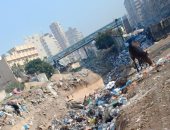 شكوى من تراكم القمامة وإعادة بناء سور السكة الحديد بسيدى بشر قبلى