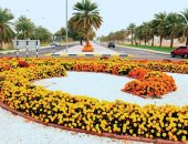 "الجو عندهم ربيع طول السنة".. مليونا زهرة تزيّن شوارع مدينة العين الإماراتية