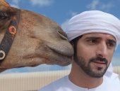 "جمل" ولى عهد دبى..  اعرف حكاية الصداقة والمنافسات الرياضية.. صور