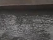 الأرصاد السعودية تحذر من هطول أمطار رعدية على منطقة الباحة