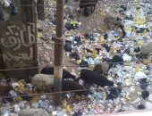 صور..انتشار القمامة خلف الاستاد الرياضى فى مدينة نجع حمادى بقنا   