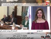 محسن عادل: تعديلات قانون الاستثمار هدفها توفير مناخ اقتصادى أفضل