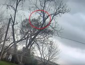 كاميرا مراقبة تظهر اللحظات الأولى لسقوط طائرة فى ولاية تكساس 