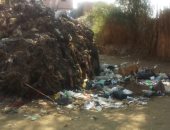 شكوى من انتشار القمامة فى شوارع قرية تتا بالمنوفية