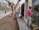 تعرف على أعمال تطوير محيط استاد القاهرة استعدادًا للبطولة الأفريقية