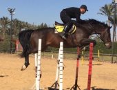 ممثل تلاقى وفارس شغال.. أحمد السقا ينجح فى القفزة الثلاثية بالخيل.. صور