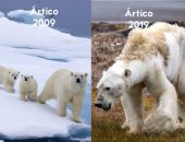 نحن نقتل الكوكب.. حملات تكشف خطورة البشرية على التوازن البيئى  