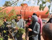 صور.. نائب محافظ الوادى الجديد تتفقد مشروع إنتاج "المورينجا" بقرية ناصر 