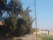 تهالك أعمدة الكهرباء بقرية الفولى منشأة أبو عمر فى الشرقية