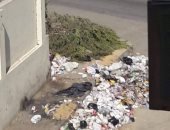 شكوى من انتشار القمامة والأوبئة والكلاب الضالة بشارع الخليفة بالجيزة