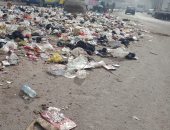 قارئ يشكو من انتشار القمامة والأوبئة فى قرية أنشاص البصل بالشرقية