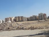 شكوى من انتشار الكلاب الضالة وعدم رصف الشوارع بالتجمع الأول