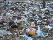 قارئ يشكو من انتشار القمامة والأوبئة فى قرية المعصرة بالدقهلية
