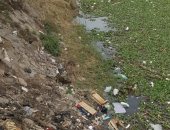 قارئ يشكو حيوانات نافقة وقمامة بفرع نهر النيل فى السنبلاوين