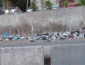 شكوى من انتشار القمامة بشارع جامع فلفل بالجيزة