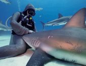 اعرف سر غطاسه إيطالية تجلس أسماك القرش على ركبتيها؟..صور وفيديو 