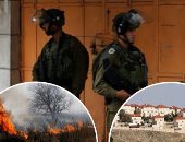  فى يوم الأرض الفلسطينى.. الاحتلال يستولى على 508 دونمات ويهدم 471 مبنى خلال 2018.. مستوطنون يقتلعون 7,122 شجرة وبناء 9 ألاف وحدة استيطانية.. استشهاد 312 فلسطينياً منهم 57 من الأطفال وثلاث سيدات