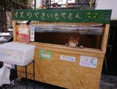 عنده 3 سنين وكشك صغير.. قصة كلب يبيع "البطاطا" فى اليابان.. فيديو وصور