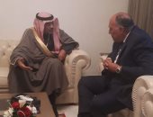 سامح شكرى يبحث مع نائب رئيس الوزراء الكويتى تعزيز آليات التعاون العربى المشترك