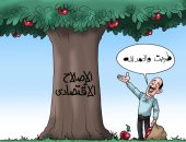 شجرة الإصلاح الاقتصادى تطرح ثمارها فى كاريكاتير اليوم السابع
