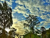 الطقس فى الخليج.. أمطار رعدية فى السعودية ورياح مثيرة للأتربة فى الإمارات