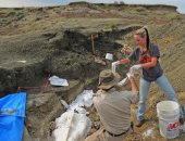 صور.. اكتشاف مقبرة للديناصورات فى أمريكا عمرها 66 مليون سنة