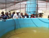 محافظ الوادي الجديد يتفقد مشروع استزراع سمكى بالداخلة