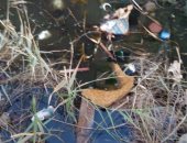 شكوى من انتشار مياه الصرف الصحى بمدينة حدائق أكتوبر 