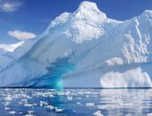 علماء يحذرون: تغير المناخ يغير أنتاركتيكا من الجليد لمساحات خضراء