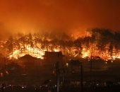 إسرائيل تكشف عن خسائرها: الحرائق ضربت 15 ألف دونم من الأراضى