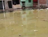 شكوى من انتشار مياه الصرف الصحى بمنطقة جديلة بمحافظة الدقهلية