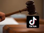 محكمة هندية تطالب بحظر تحميل TikTok لتشجيعه على المواد الإباحية