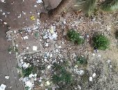 شكوى من انتشار القمامة بجوار سور مستشفى الصدر بالعباسية