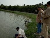 البيئة: ضبط مزرعة سمكية بدون ترخيص فى حملة بالتل الكبير