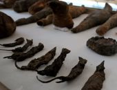 صحيفة إيطالية تبرز اكتشاف "مقبرة توتو" بسوهاج: تضم مومياوات وفئران وصقور